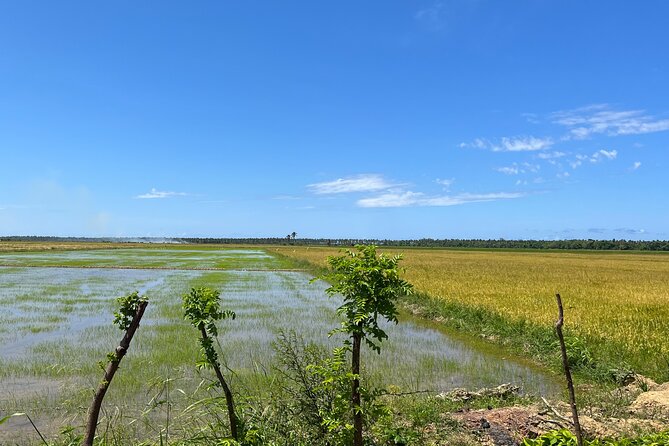 Half Day Safari and ATV or horses from Punta Cana - What the $116 Price Really Covers