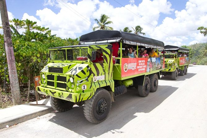 Half Day Safari Tour of Punta Cana - Timing, pickup, and the main risk