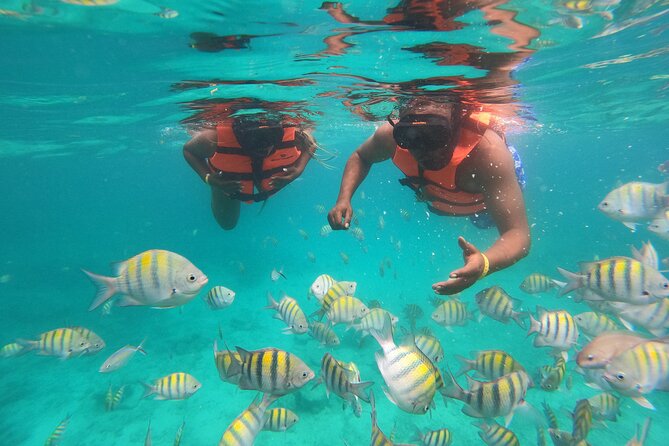 Half-Day Snorkeling Cruise and Natural Pool with Open Bar - Key points to know before booking