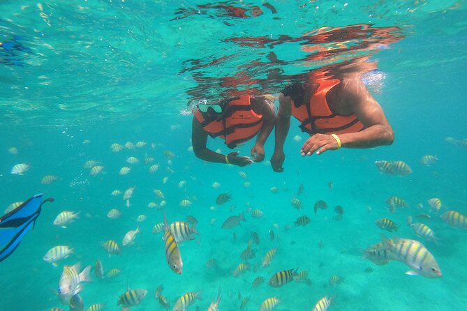 Half-Day Snorkeling Cruise and Natural Pool with Open Bar - Practical tips for a smoother day