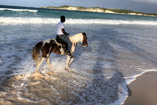 Half-Day Tour 2-in-1, Redonda Mountain & Horseback Riding Tour in Macao Beach - What the five-hour schedule feels like