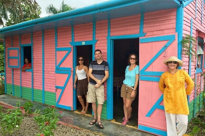 Half-Day Tour: Dominican Discovery Of a Culture - Riding from Punta Cana in a private minivan