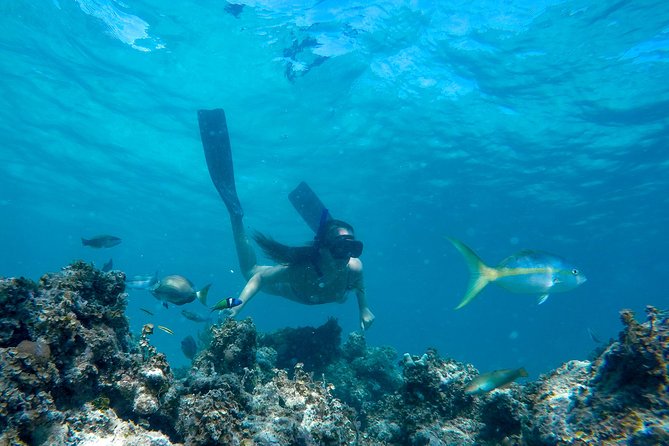 Happy Hour Sailing Cruise from Punta Cana - Starting at Marinarium’s animal exhibit