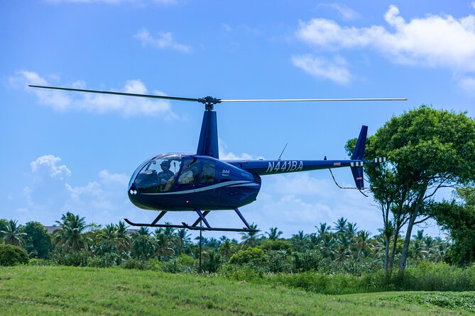 Helicopter tour of Punta Cana - Who should book this flight