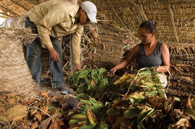 Higuey City Tour - A Cultural Experience From Punta Cana - Macao Beach changes the pace