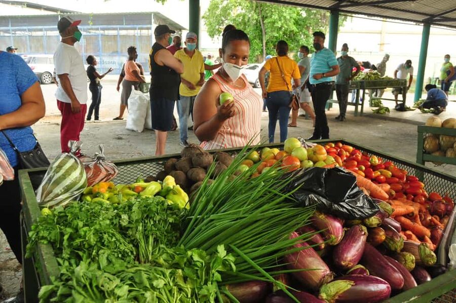 Higuey discovery, coffee and cocoa tasting from punta cana - Higüey’s food and craft markets