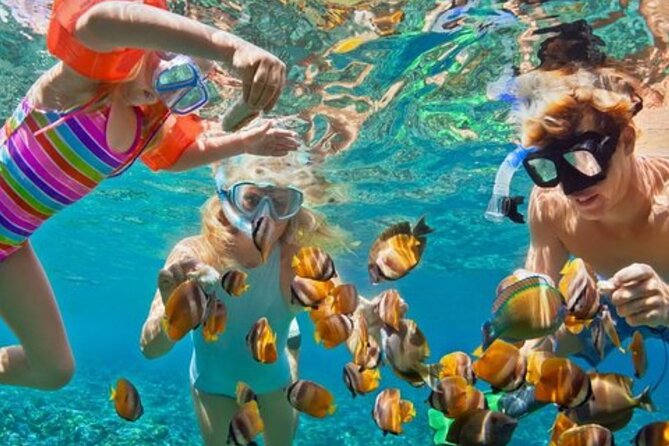 Hip hop party boat cruise & Snorkel: Wonderful time in Punta Cana - Drinks, fruit, and the important bar distinction