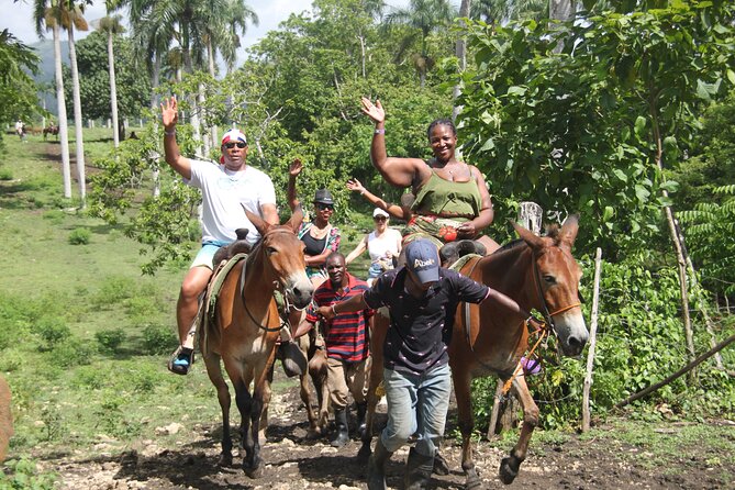 Horse back riding (Punta Cana/Bavaro) - Riding through forest paths and countryside tracks