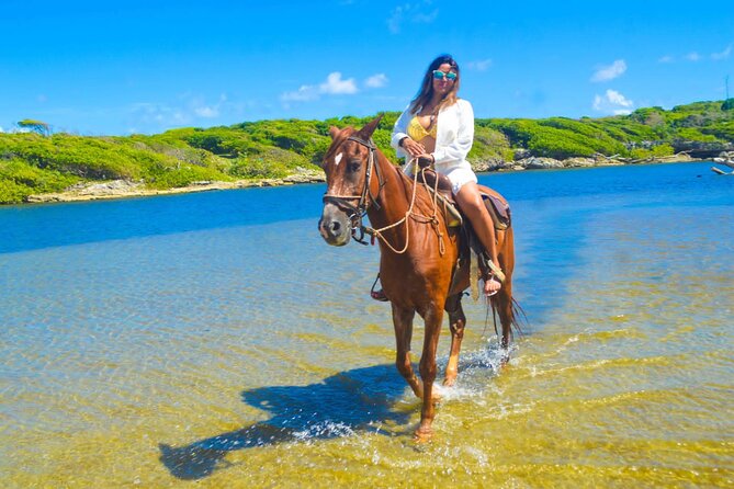 Horse back riding (Punta Cana/Bavaro) - Learning about cacao, coffee, and natural chocolate