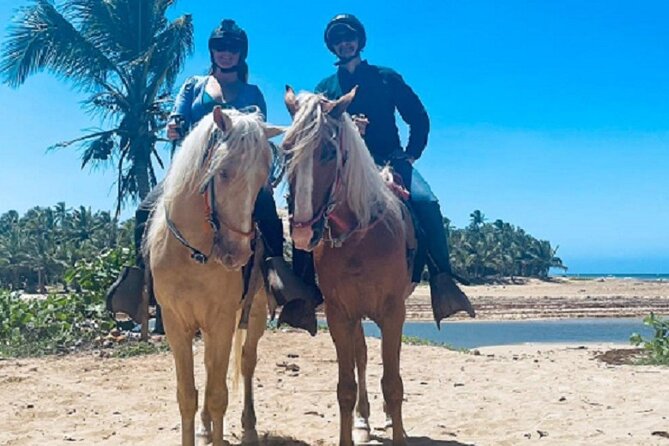 Horse Riding Experience through El Limon Beach - From Punta Cana to a quieter side of the coast