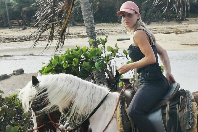 Horse Riding Experience through El Limon Beach - Cattle farms and subtropical wetlands along the route