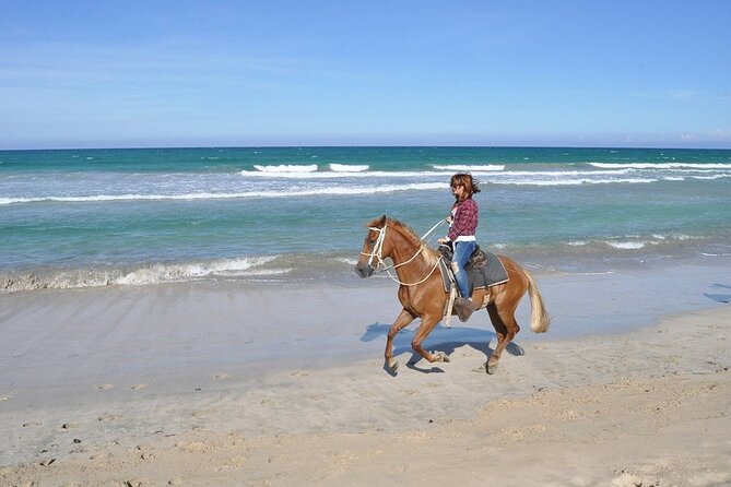 Horse Riding Experience through El Limon Beach - Safety, comfort, and the riding demands