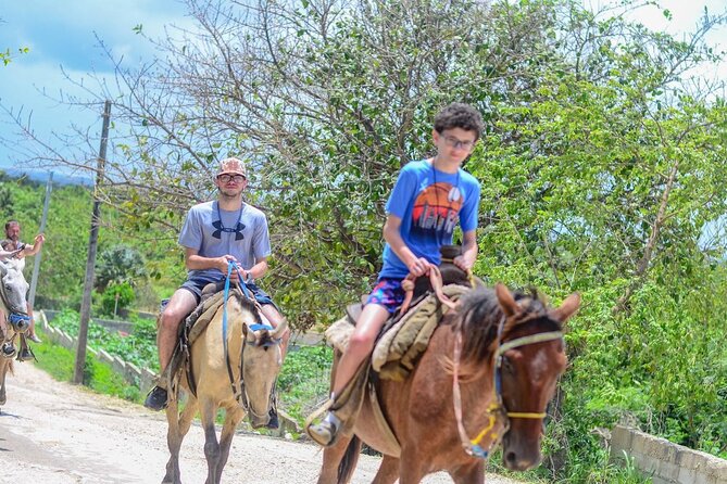 HORSEBACK - RIDE Through Punta Cana - The price: good value if the day runs properly