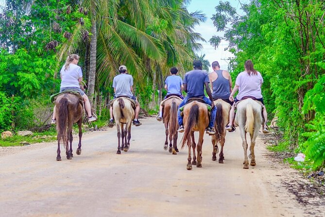 HORSEBACK - RIDE Through Punta Cana - Horse welfare and service reliability