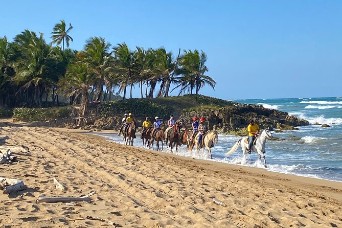 Horseback Riding Adventure Punta Cana - Key points to know before booking