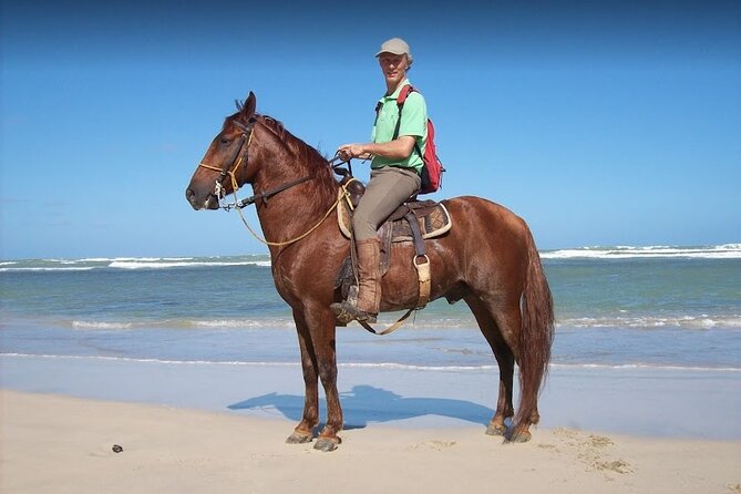 Horseback Riding Adventure Punta Cana - From the ranch to roads, local homes, and the coast