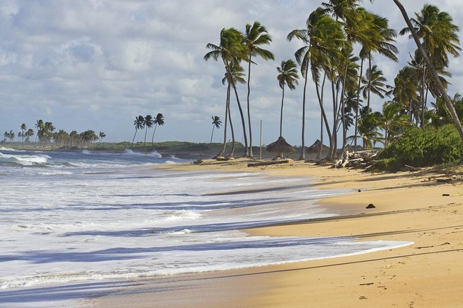 Horseback Riding Adventure Punta Cana - Photos, the rum bottle, and an important price question