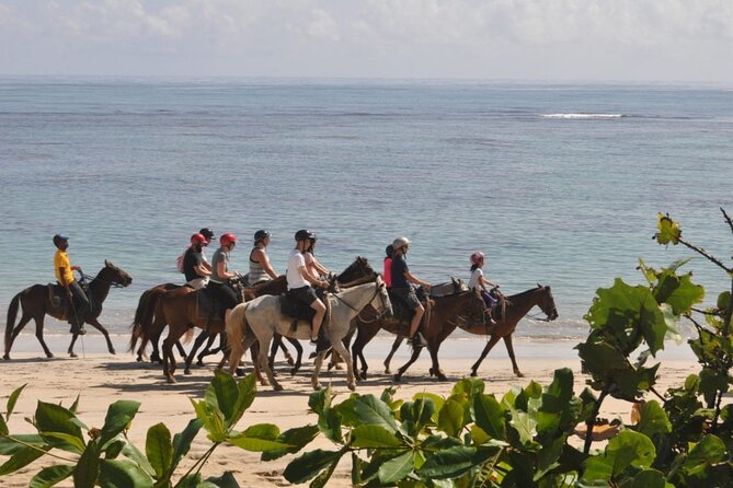 Horseback Riding Adventure Punta Cana - What the $40 price really covers