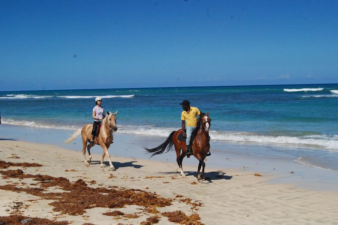 Horseback Riding Adventure Punta Cana - Who will enjoy this horseback ride most