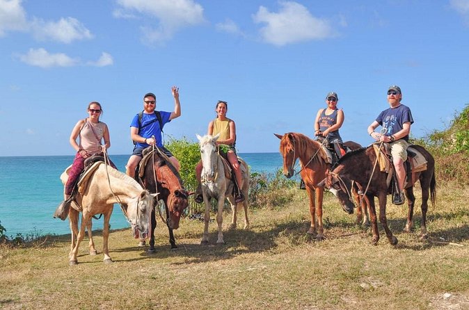 Horseback riding along Macao beach from Punta Cana - Who will enjoy this Punta Cana ride most?