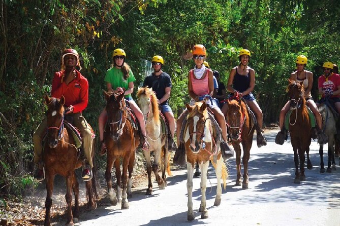 Horseback Riding along the Beach - The chance to enter the water