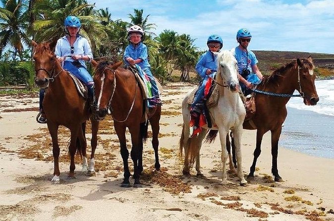 Horseback Riding along the Beach - Charles and the human side of the outing