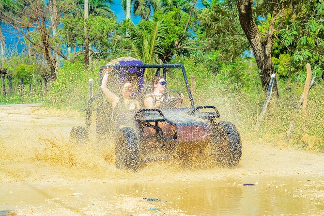 Horseback Riding and Buggy and Macau Cave and Beach Tour - Four Punta Cana experiences in one half-day