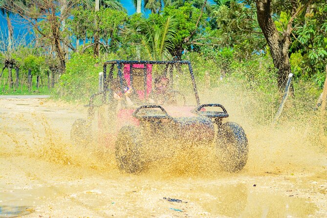 Horseback Riding and Buggy and Macau Cave and Beach Tour - What the $65 price covers