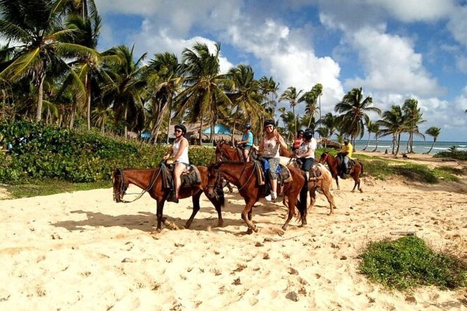 Horseback Riding at Macao Beach - A horseback route with more than a ranch loop