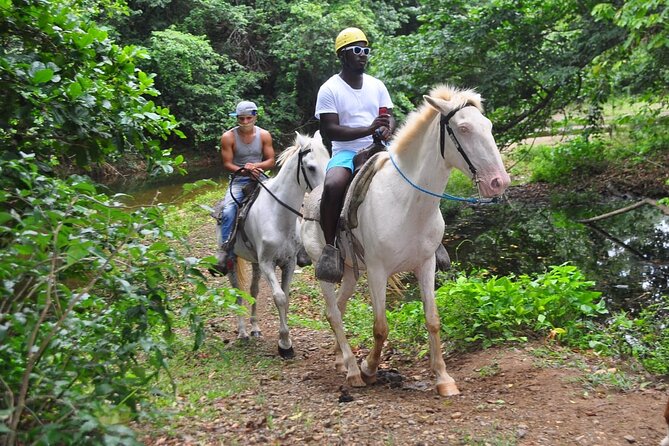 Horseback Riding at Macao Beach - The village, forest, and tasting stops