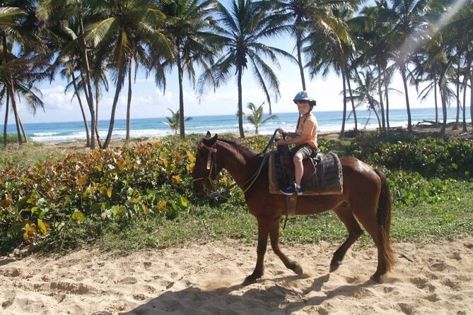 Horseback Riding at Macao Beach - Why the private format matters