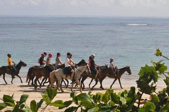 Horseback Riding at Macao Beach - Booking tips that can save you trouble