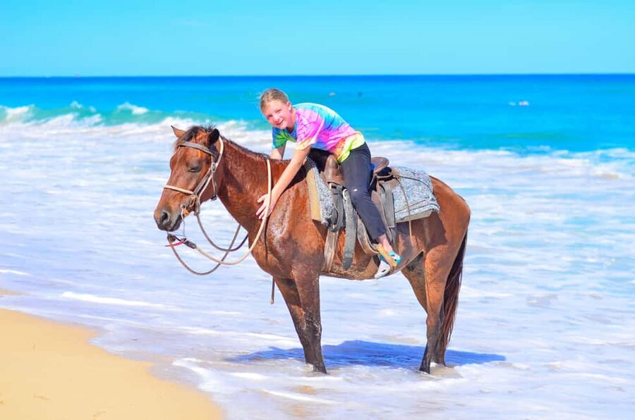 Horseback Riding at Macao Beach and River with Transfers - Forest trails before the beach