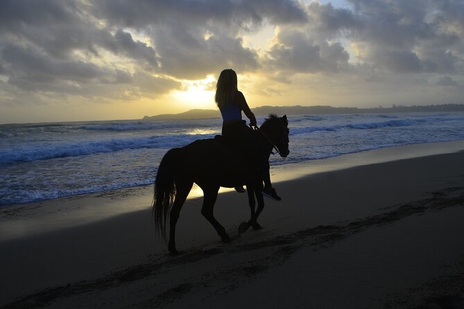 Horseback Riding at Sunrise on the Beach of Punta Cana - Key points to know before booking