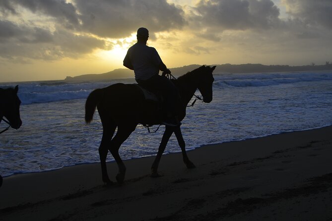 Horseback Riding at Sunrise on the Beach of Punta Cana - Who will enjoy this Punta Cana activity most?