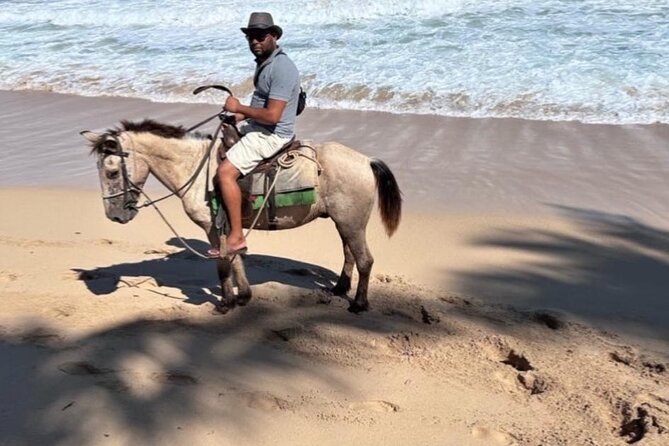 Horseback Riding Experience in Punta Cana - Riding from Punta Cana’s fields to Uvero Alto beach