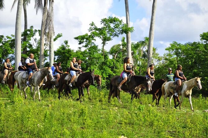 Horseback Riding in the Dominican Jungle - The confusing Altos de Chavon and Saona Island description