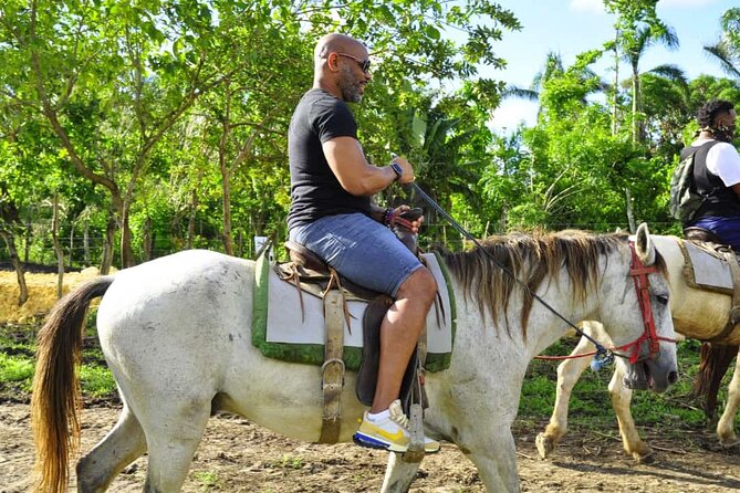 Horseback Riding in the Dominican Jungle - Is $69.99 a fair price?
