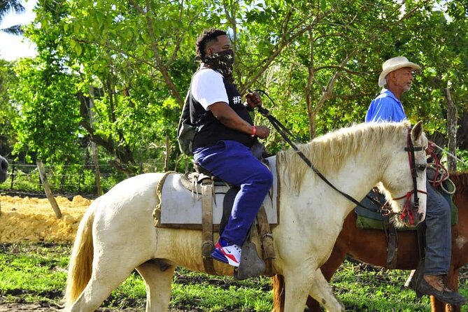 Horseback Riding in the Dominican Jungle - Who should book this ride?