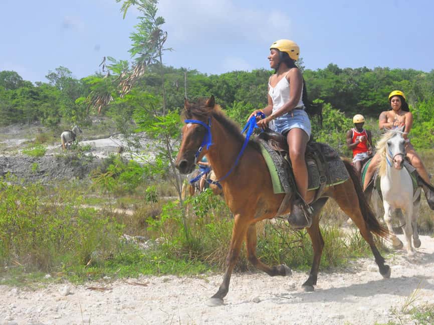 Horseback Riding Macao Beach Experience Paradise onHorseback - Meeting your horse and getting ready