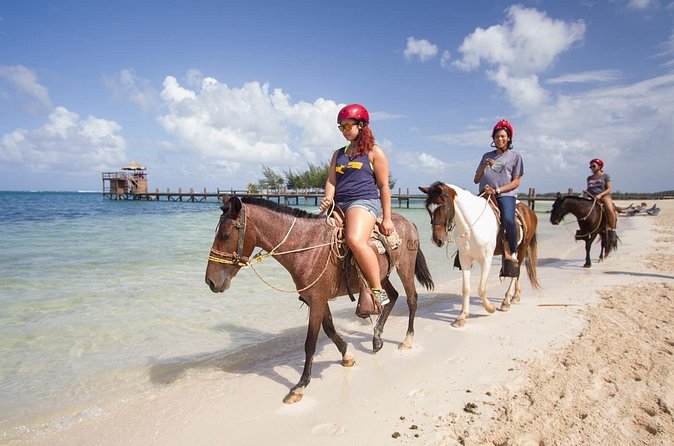 Horseback Riding on the Beach in Punta Cana (One Hour) - Pickup deserves careful attention