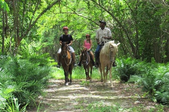 Horseback Riding on the Beach in Punta Cana (One Hour) - How this compares with a resort beach day