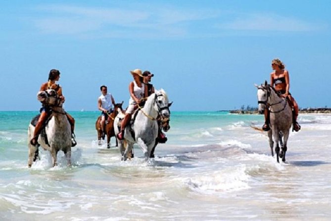 Horseback Riding on the Beach in Punta Cana (One Hour) - What the guide and equipment add