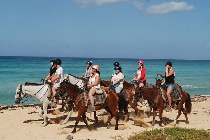 Horseback Riding on the Beaches of Punta Cana - Key points before you saddle up