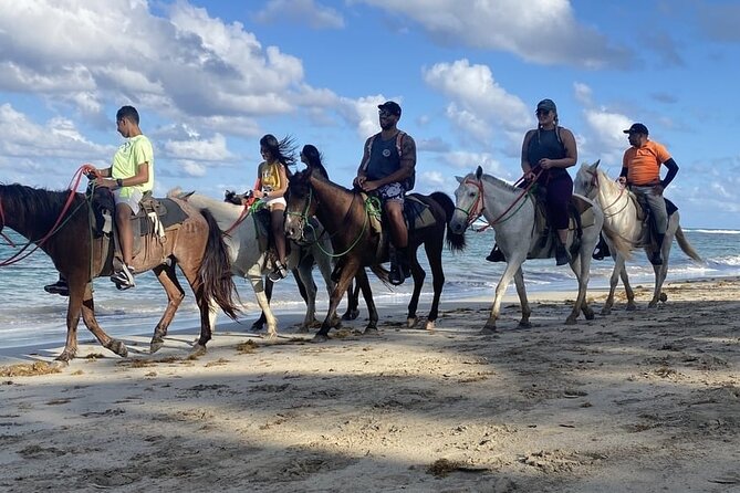 Horseback Riding on the Beaches of Punta Cana - Morning or afternoon: choosing your better ride