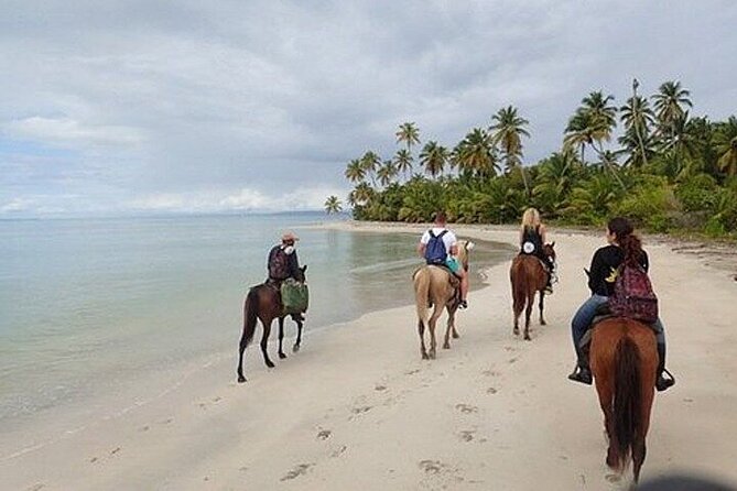 Horseback Riding on the Beaches of Punta Cana - Pickup and group size