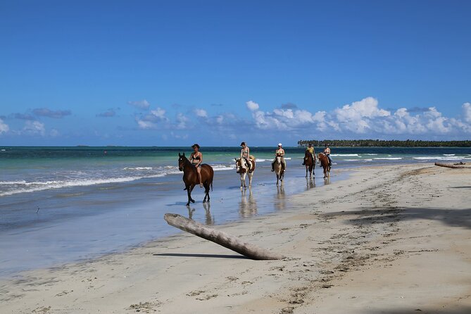 Horseback Riding on the Beaches of Punta Cana - Who will enjoy this Punta Cana excursion most?