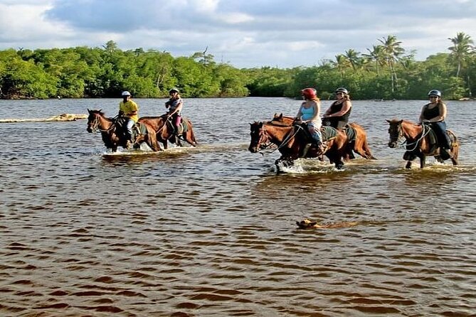 Horseback Riding to Maimon River from Punta Cana - Key points to know before booking