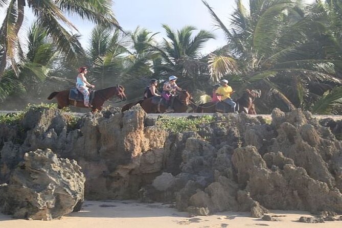 Horseback Riding to Maimon River from Punta Cana - At the Maimon River mouth