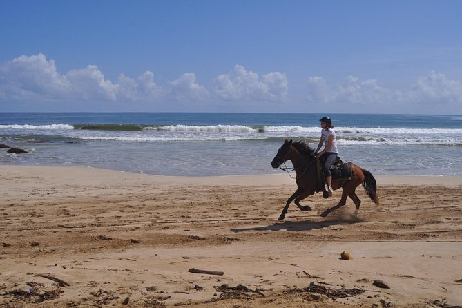 Horseback Riding Tour Adventure on the Beach - Following the route to Boca de Maimon river